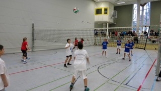 Volleyball 4