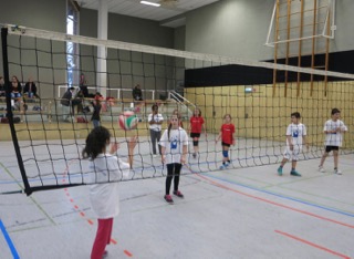Volleyball 5