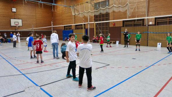 Volleyball 3