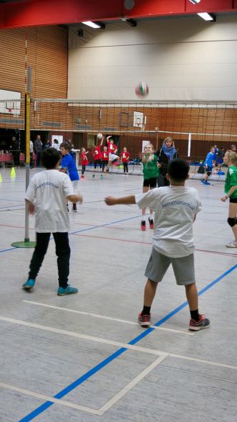 Volleyball 6