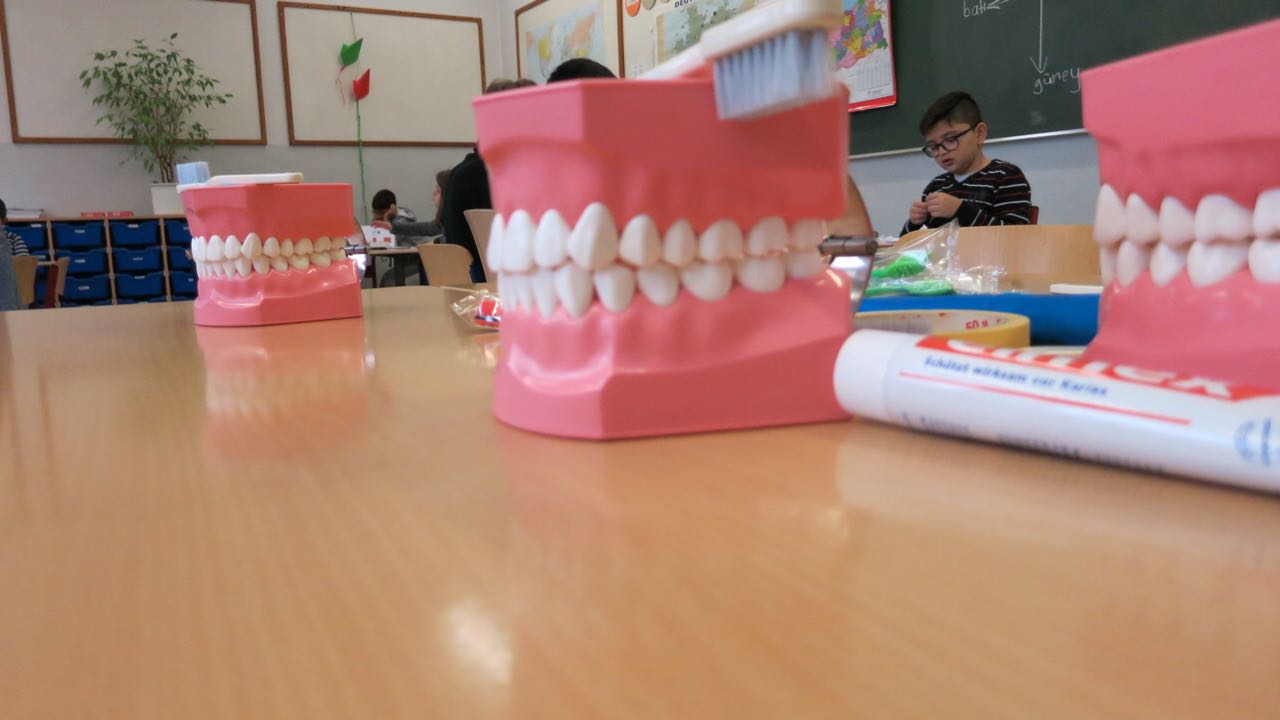 Zahn 16