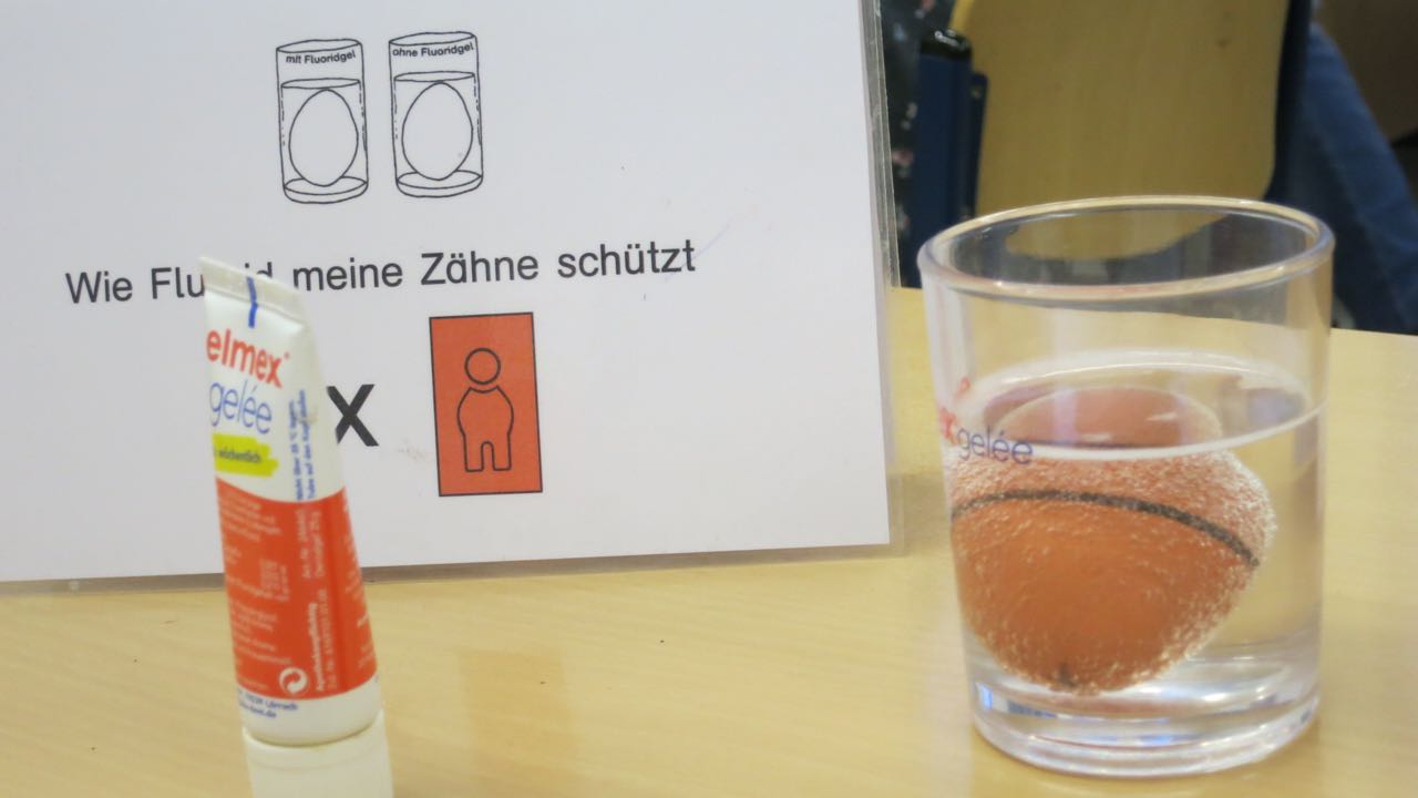Zahn 33