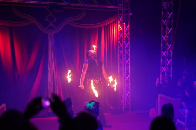 Zirkus 10