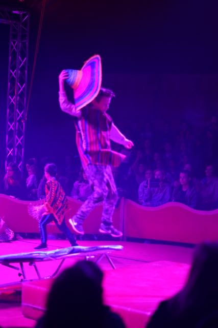 Zirkus 13