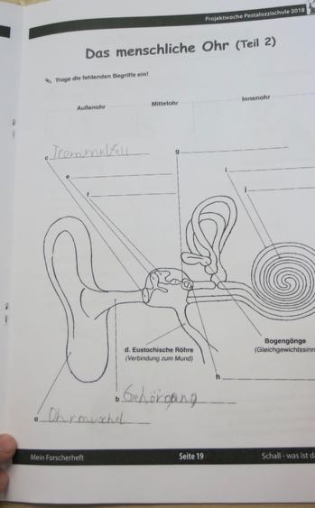 Forscher 12