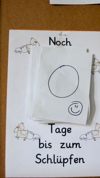 Schlupf 1