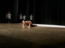 König der Löwen 1